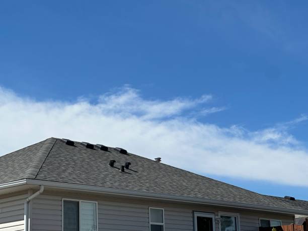 Best Emergency Roof Repair Services  in Salix, PA